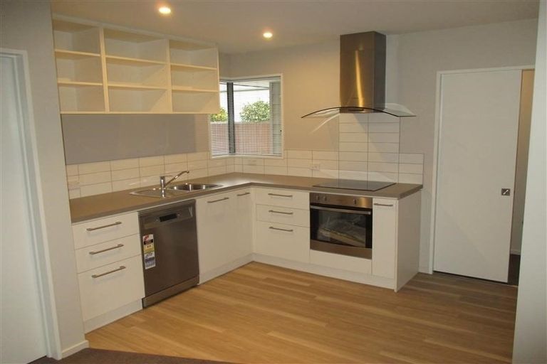 Photo of property in 57b Champion Street, Edgeware, Christchurch, 8013