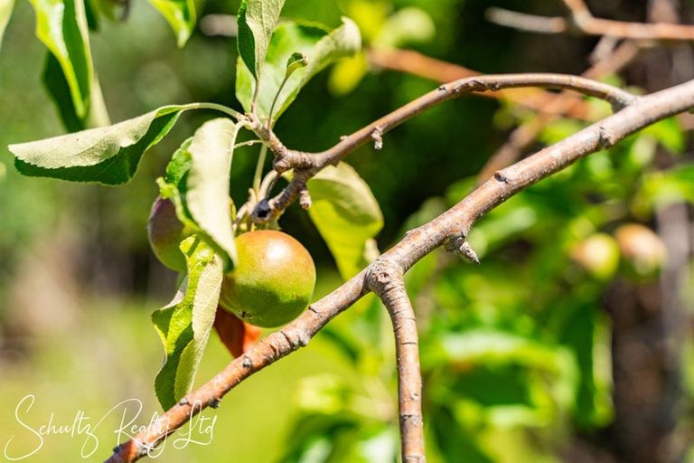 Photo of property in 21 Ngatoto Road, Tinopai, Matakohe, 0593