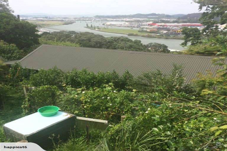 Photo of property in 52 Punga Grove Avenue, Riverside, Whangarei, 0112