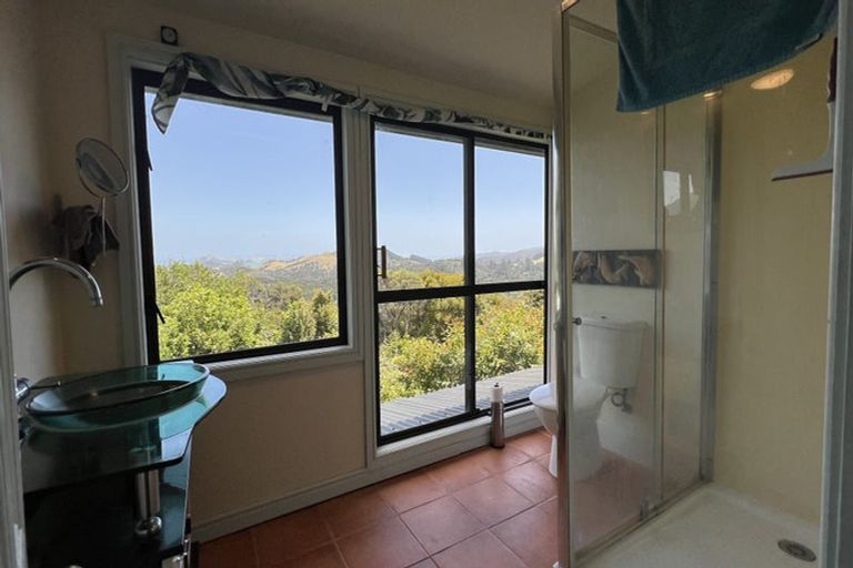 Photo of property in 800 Buffalo Road, Coromandel, 3506