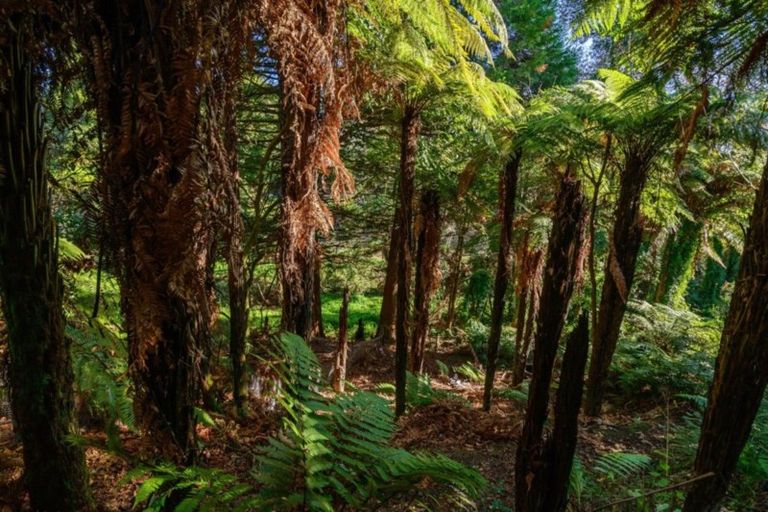 Photo of property in 58 Pandora Avenue, Sunnybrook, Rotorua, 3015