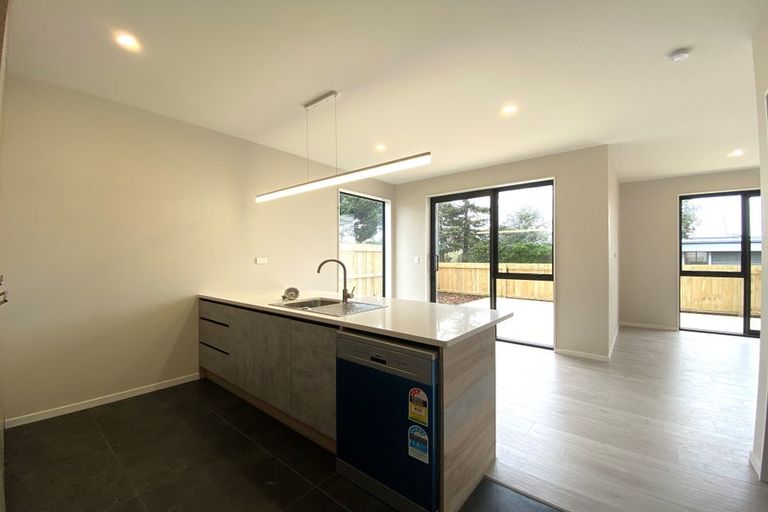 Photo of property in 47a Bruce Mclaren Road, Henderson, Auckland, 0612
