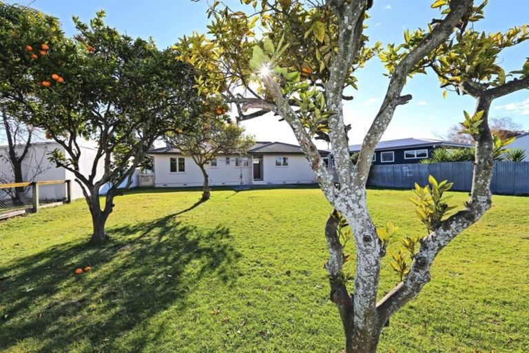 Photo of property in 115 Taradale Road, Onekawa, Napier, 4110