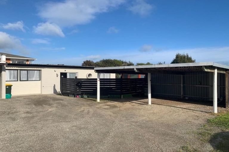 Photo of property in 119a Tiro Tiro Road, Levin, 5510