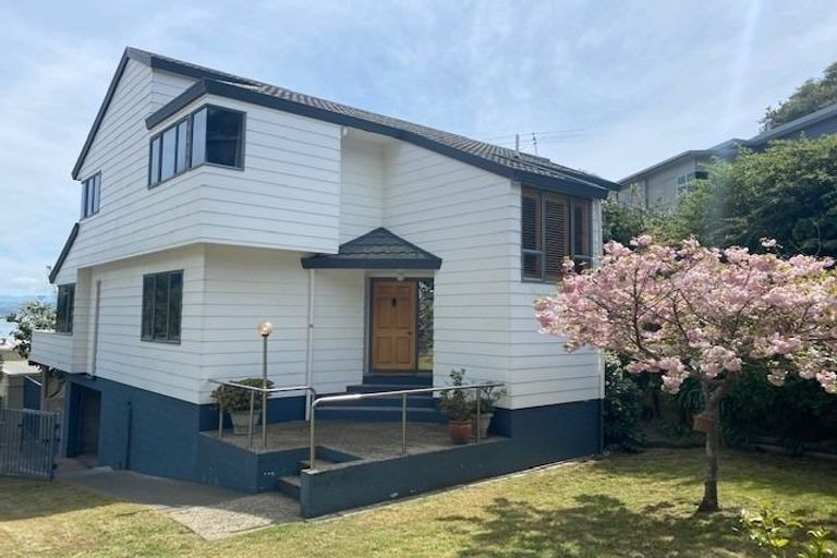 Photo of property in 14 Hornsey Road, Bluff Hill, Napier, 4110