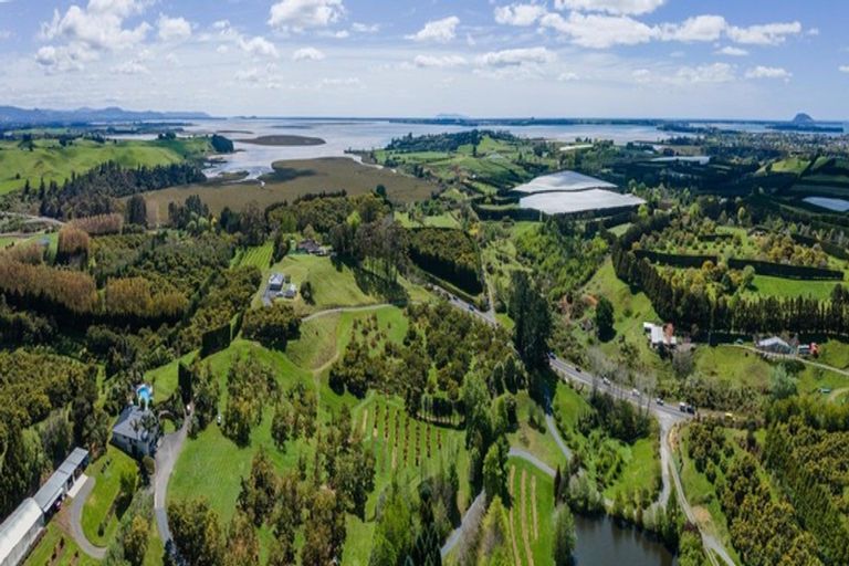 Photo of property in 1555c State Highway 2, Whakamarama, Katikati, 3181