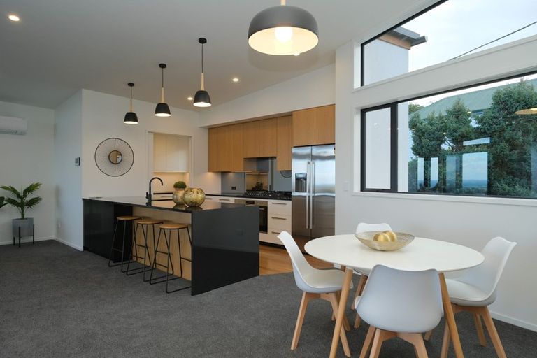 Photo of property in 18 Selkirk Street, Roslyn, Dunedin, 9010