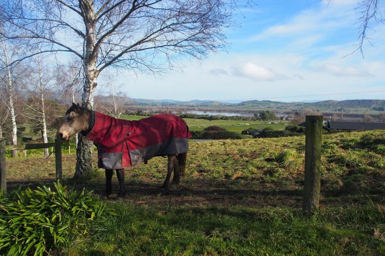 Photo of property in 319 Porangahau Road, Waipukurau, 4282