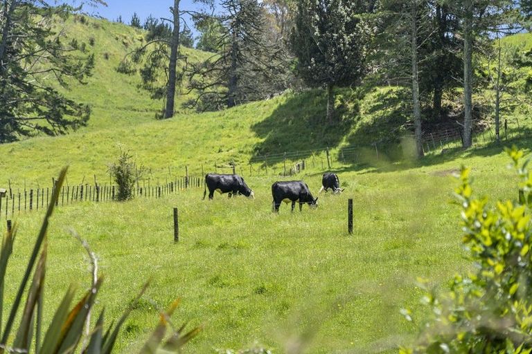 Photo of property in 145 Peers Road, Omanawa, Tauranga, 3171