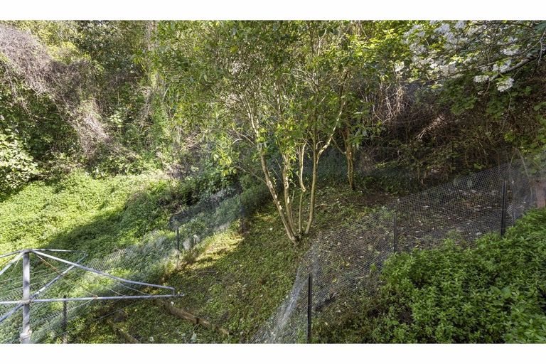Photo of property in 162b Raroa Road, Aro Valley, Wellington, 6012