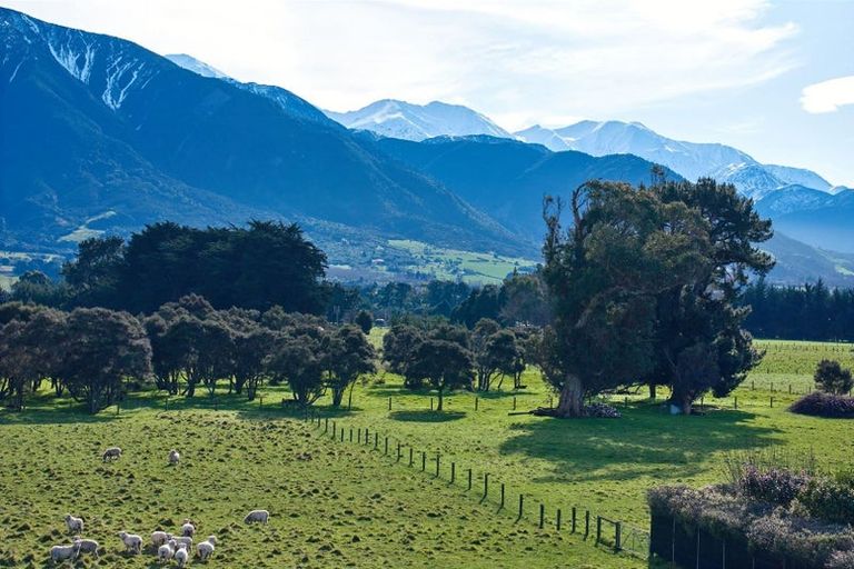 Photo of property in 238 Red Swamp Road, Kaikoura Flat, Kaikoura, 7371