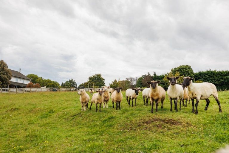 Photo of property in 148 Watershed Road, Bunnythorpe, Palmerston North, 4470