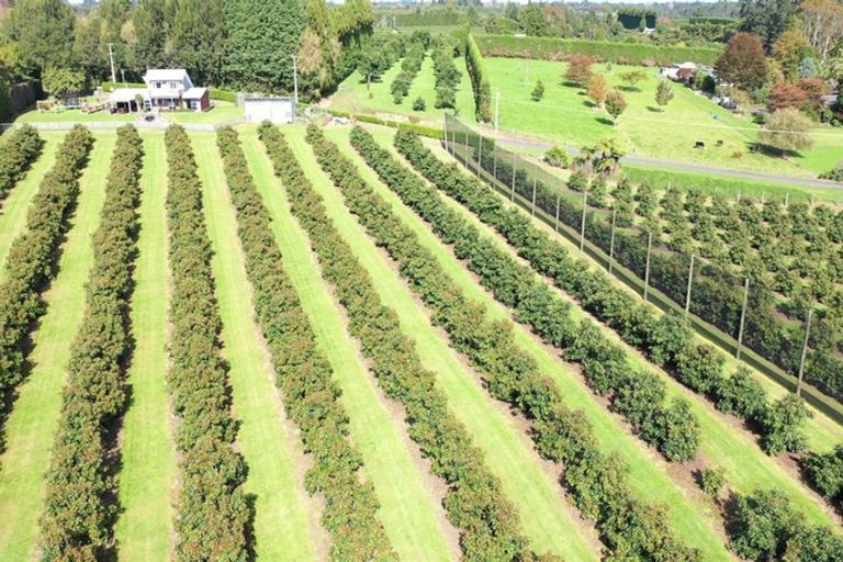 Photo of property in 14 Merrick Road, Pyes Pa, Tauranga, 3173