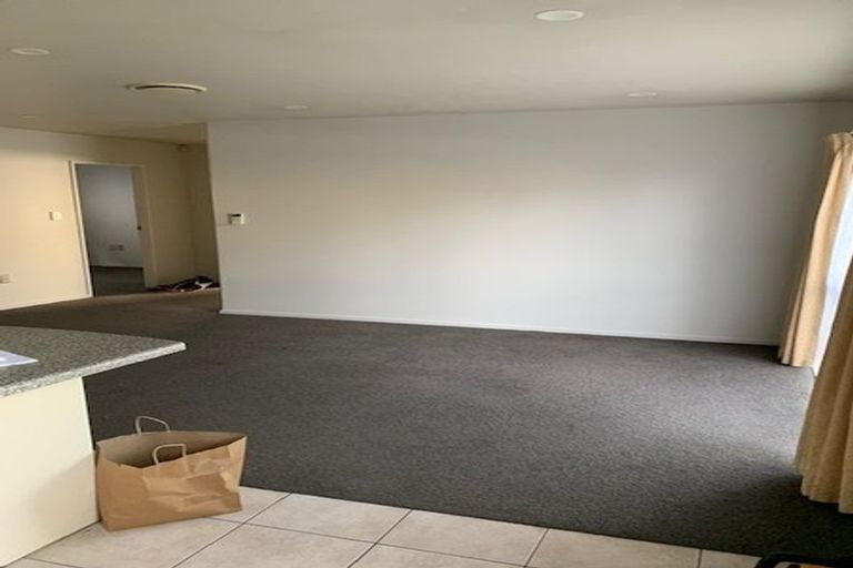 Photo of property in 17a Skinner Road, Mount Wellington, Auckland, 1060