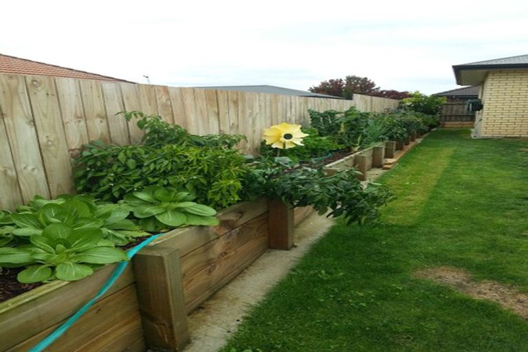 Photo of property in 14 Vogel Place, Te Aroha, 3320