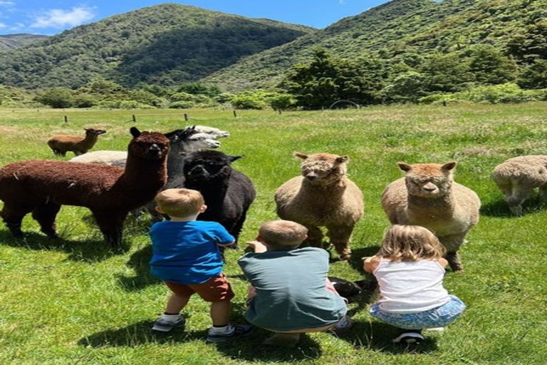 Photo of property in 272 Uruwhenua Road, Upper Takaka, Takaka, 7183