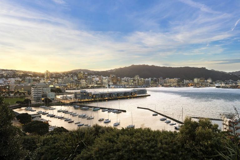 Photo of property in 44 Mcfarlane Street, Mount Victoria, Wellington, 6011