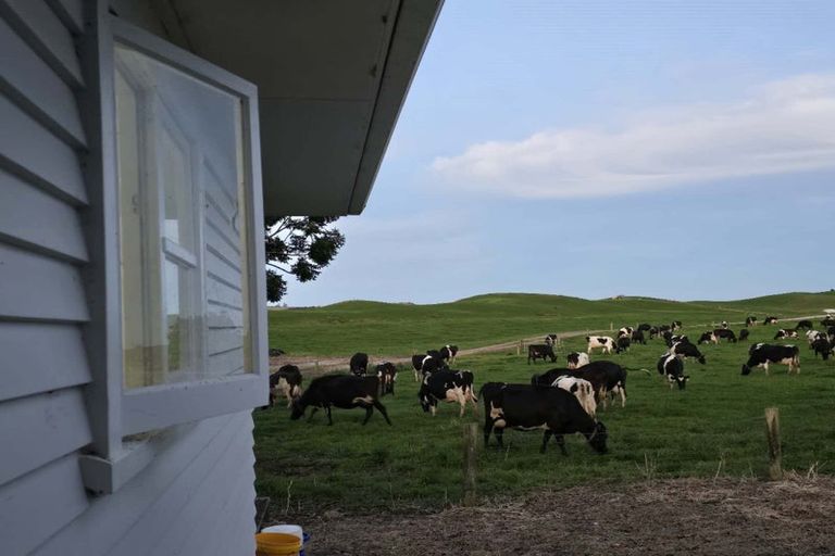 Photo of property in 880 Okahukura Road, Tapora, Wellsford, 0977