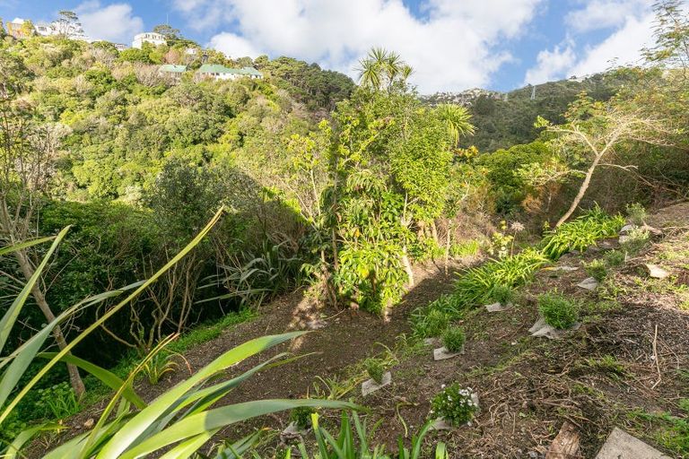 Photo of property in 97b Raroa Road, Aro Valley, Wellington, 6012