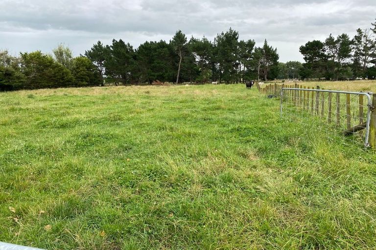 Photo of property in 156 Kawakawa Road, Feilding, 4775