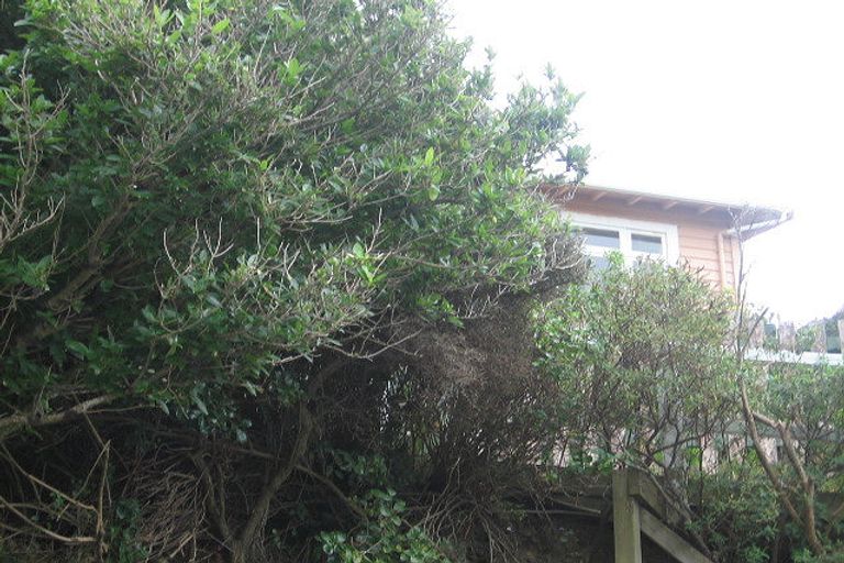 Photo of property in 13 Houghton Bay Road, Houghton Bay, Wellington, 6023