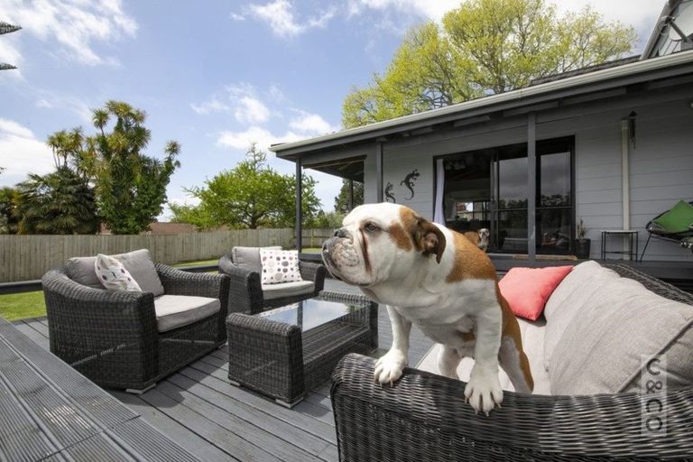 Photo of property in 6 Trigg Road, Huapai, Kumeu, 0810