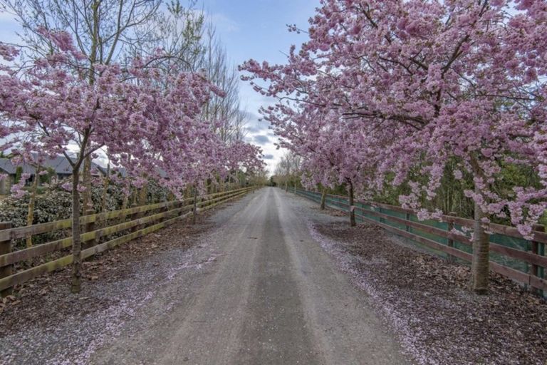 Photo of property in 562 Sandy Knolls Road, West Melton, Christchurch, 7675