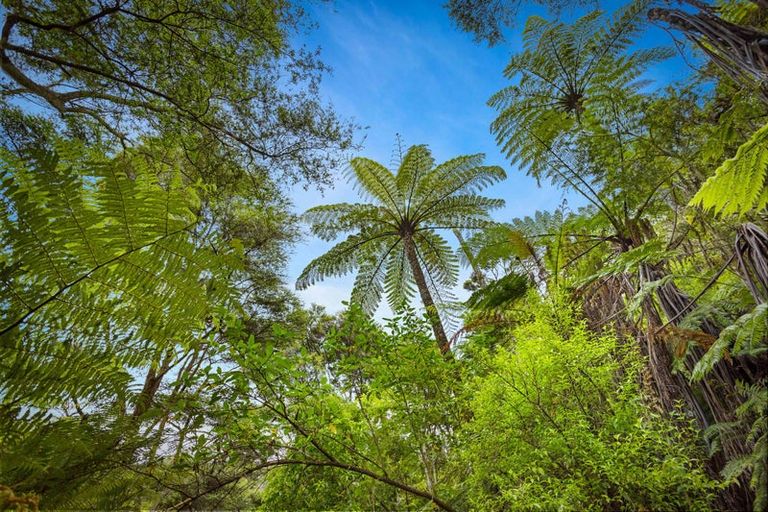 Photo of property in 853b Old North Road, Waimauku, 0882