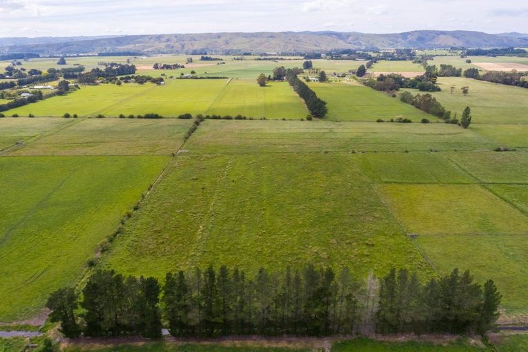 Photo of property in 179 Bidwills Cutting Road, Morison Bush, Greytown, 5794