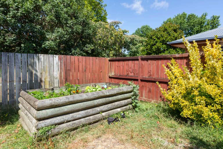 Photo of property in 16 Froude Street, Leamington, Cambridge, 3432