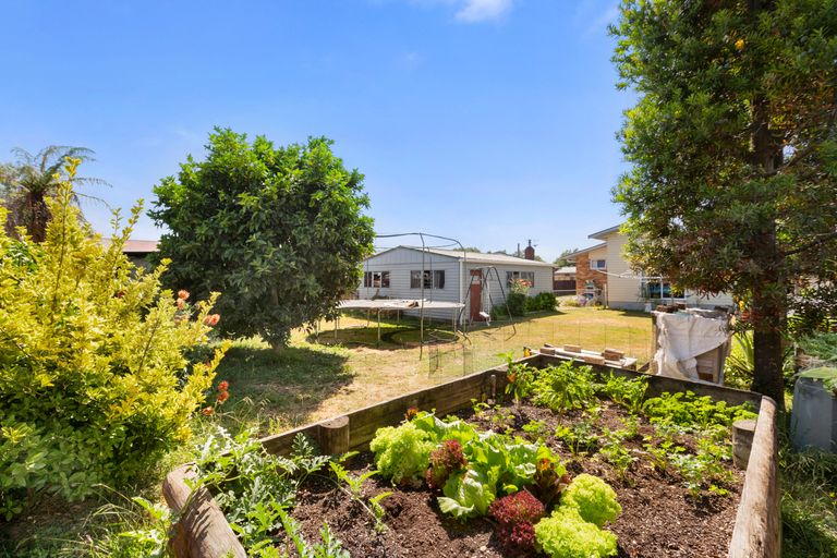 Photo of property in 16 Froude Street, Leamington, Cambridge, 3432