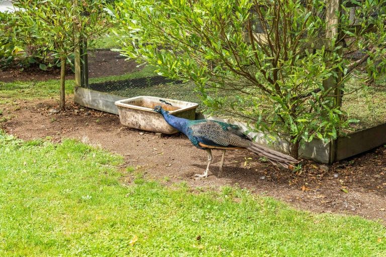 Photo of property in 71 Railway Road, Dalefield, Carterton, 5791