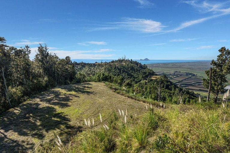 Photo of property in 147 Kokako Heights, Matata, 3194