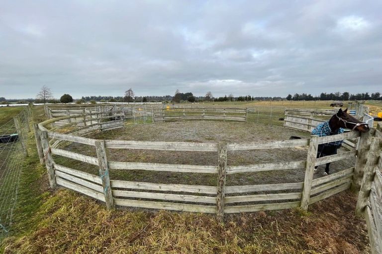 Photo of property in 109 Hardys Road, Rakaia, 7784