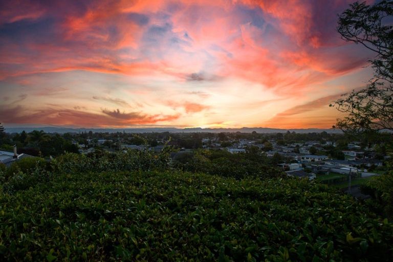 Photo of property in 53 Winter Street, Mangapapa, Gisborne, 4010