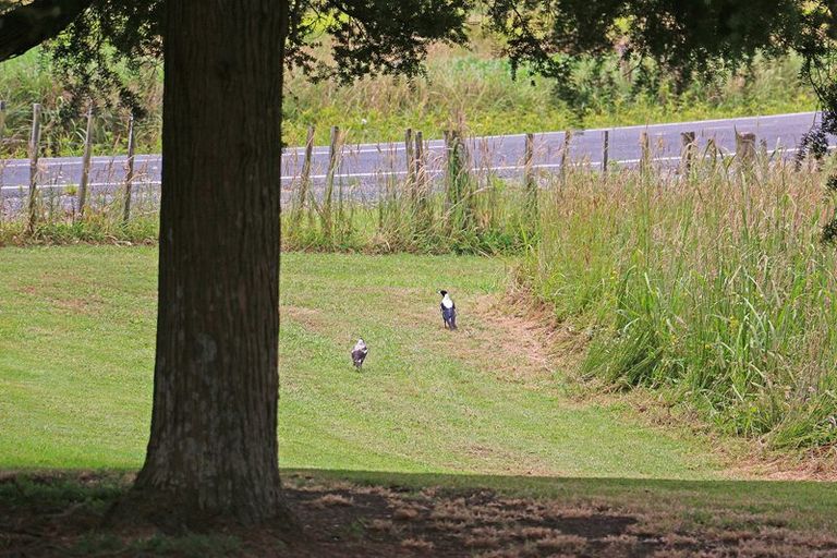 Photo of property in 400 West Coast Road, Makarau, Warkworth, 0981