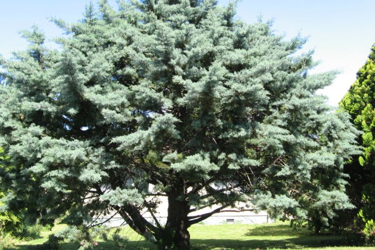 Photo of property in 48 Oswald Street, Mangapapa, Gisborne, 4010