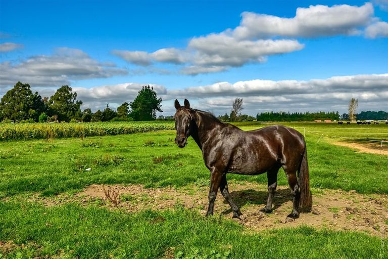 Photo of property in 106 Searles Road, Sheffield, 7580