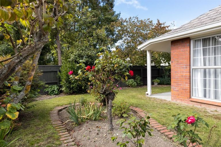 Photo of property in 101a Maxwell Road, Blenheim, 7201