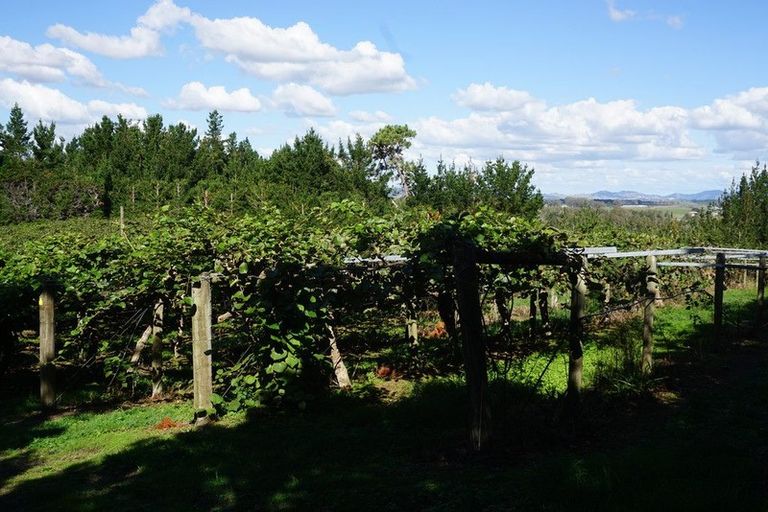 Photo of property in 159 Plantation Road, Rangiriri, Te Kauwhata, 3782