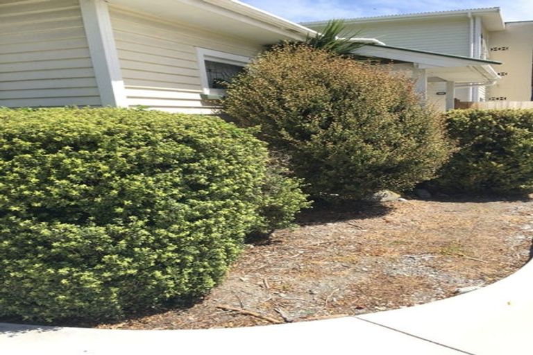 Photo of property in 1/49 Picton Avenue, Riccarton, Christchurch, 8011