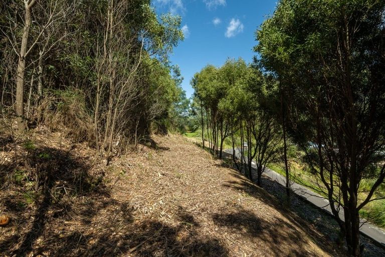 Photo of property in 16 Kakapo Rise, Picton, 7220