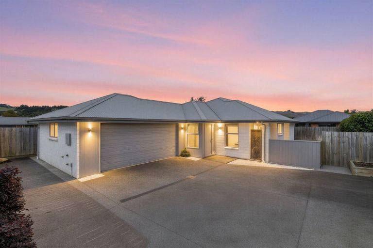 Photo of property in 23b Brewer Street, Blenheim, 7201
