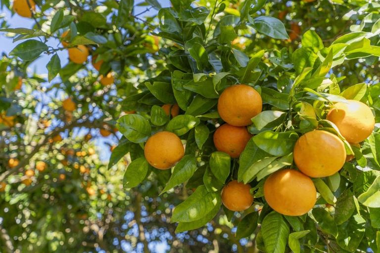 Photo of property in 68 Catherine Crescent, Whitianga, 3510