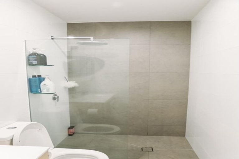 Photo of property in 359 Murphys Road, Flat Bush, Auckland, 2019