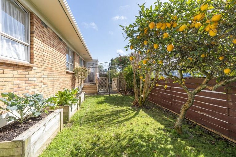 Photo of property in 218b Peachgrove Road, Claudelands, Hamilton, 3214