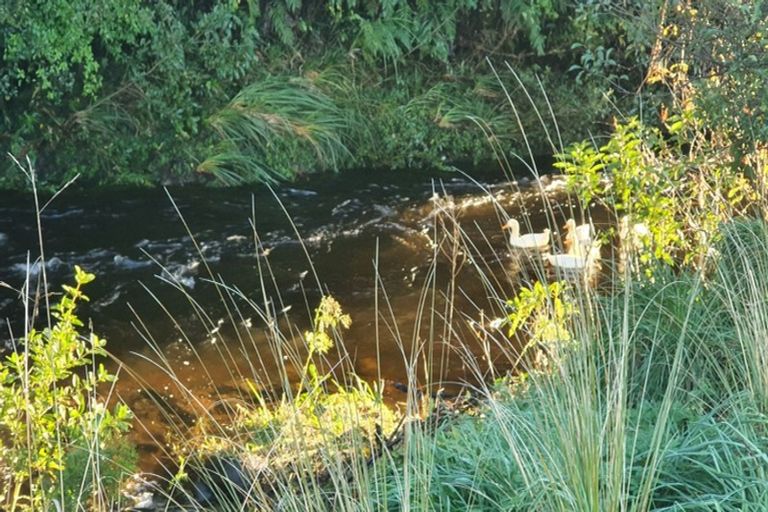 Photo of property in 125 Bedford Road North, Kaimiro, 4386