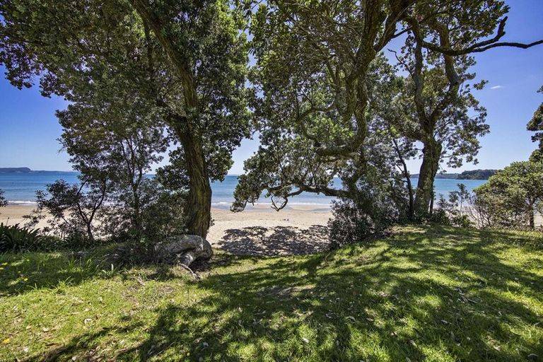Photo of property in 208 Vipond Road, Stanmore Bay, Whangaparaoa, 0932