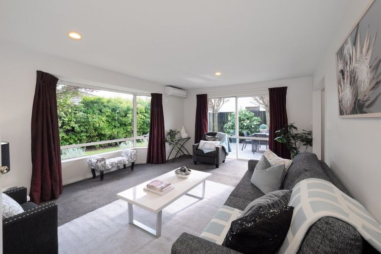 Photo of property in 3 Nina Lane, Somerfield, Christchurch, 8024