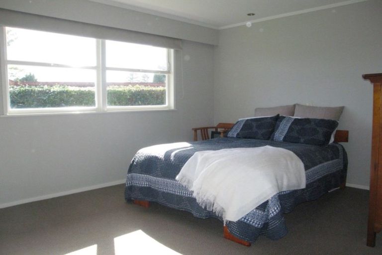 Photo of property in 19 Woods Avenue, Matua, Tauranga, 3110